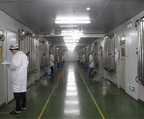 案例展示